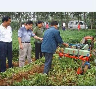 辛集市新型花生收獲機 睿智升級版鏈條收獲機的品質(zhì)保證與供應(yīng)商優(yōu)勢